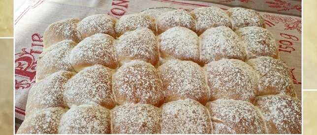 brioche butchy1 brioche butchy1