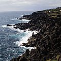 PICO_061
