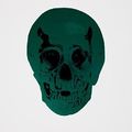 Damien Hirst, The Dead Racing Green Raven Black Skull , 2009