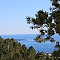 IMG_5948