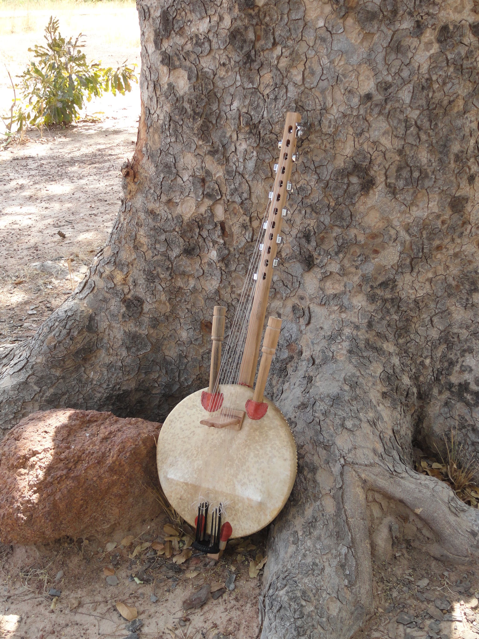 ngoni Photo de instruments à cordes mouazou n'goni