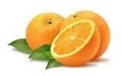 orange1 orange1