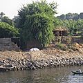 IMGP0798