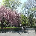 Central Park (19)