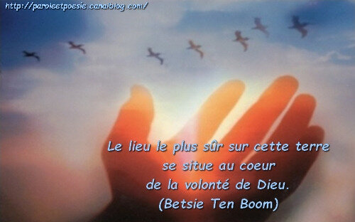 Abri Le Plus Sur Betsie Ten Boom Citation Vois Et Viens