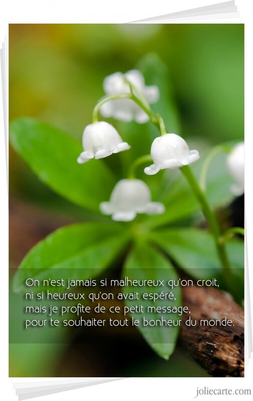 muguet-bonheur