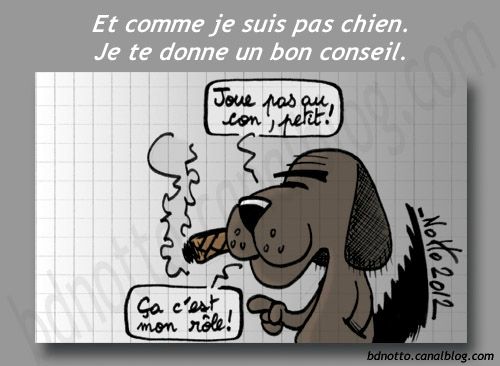 La Vieillesse Est Un Naufrage Blog Notto