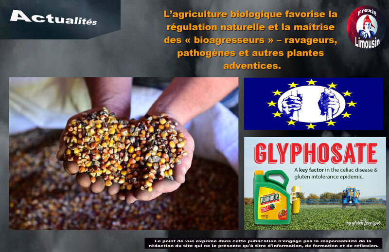 ACT AGR BIO GLYPHOSATE