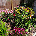 IMG_20210608_113655