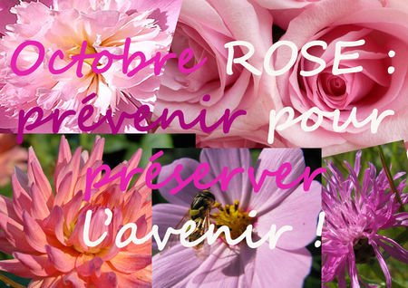 octobre_rose