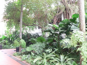 Singapour_2011_152