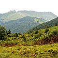 Le Serròt de Boish et le Lajens depuis les sapinières d'Issaux...