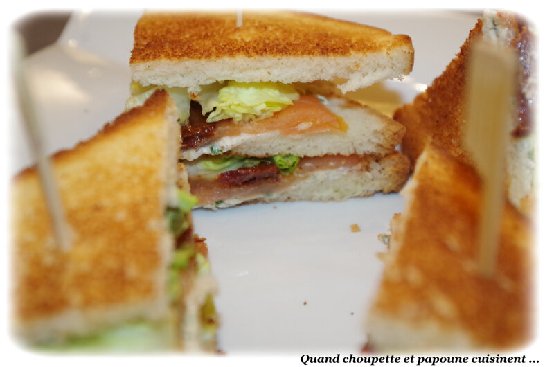sandwich de saumon fumé-8326