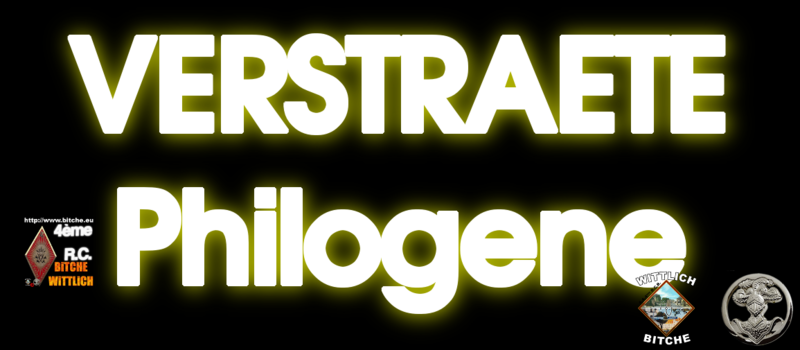 VERSTRAETE Philogene