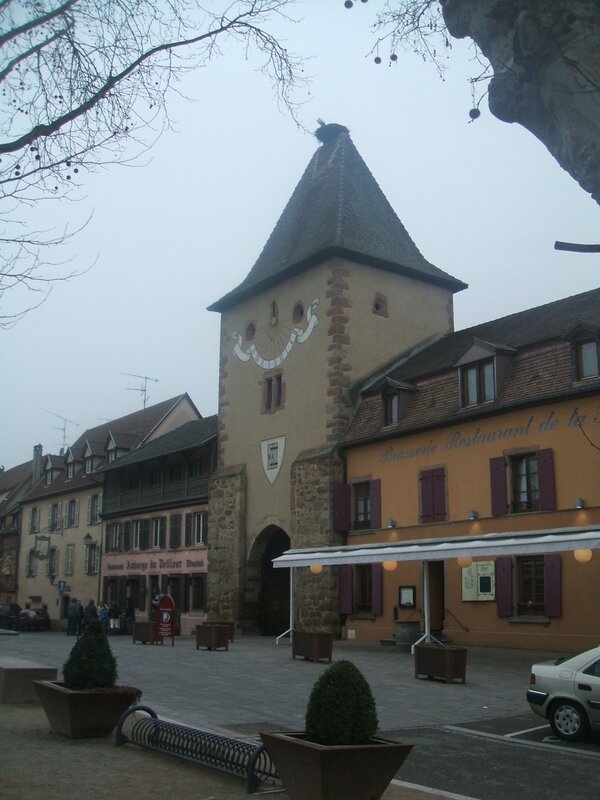 DSCF3649