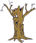 arbre024