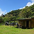 DSC03225