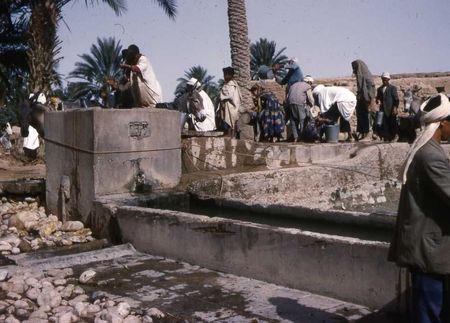 12_RCA_NONNEZ_2serie_Guellalia_24_abreuvoir_de_Bir