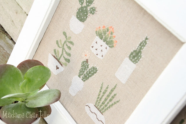 cactus mania 2