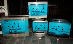 20110923SharksPoubelleLaViePixPedroWeb003