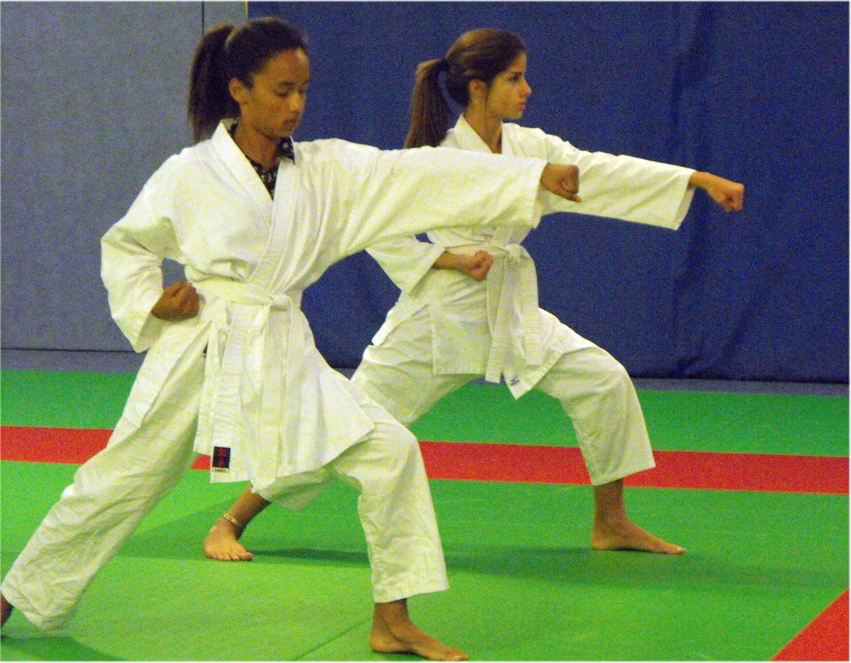  COUP  DE  POING  AVANT Photo de  Cours enfants TA  JITSU 