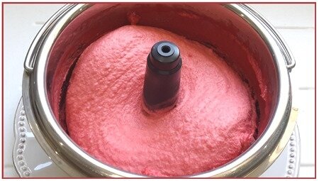 sorbets aux purées de fruits6 sorbets aux purées de fruits6