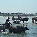 P1050687