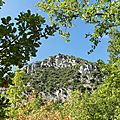 P1070435 - Copie