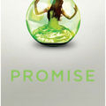 Promise - ally condie