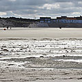 IMG_9236