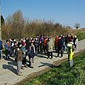 IMGP4562