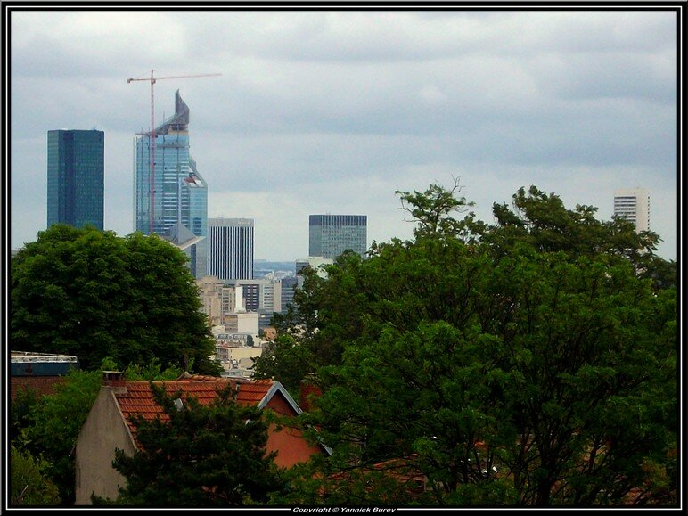 IMGP0913