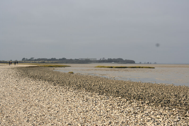 Port des Barques (Charente Maritime) Je traine ici et là