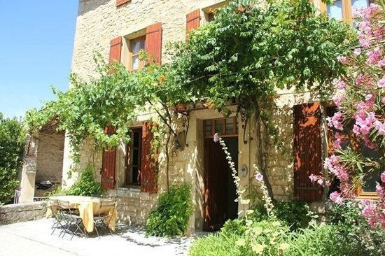 Une-treille-en-provence