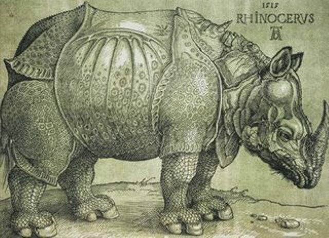 Durer-rhinoceros