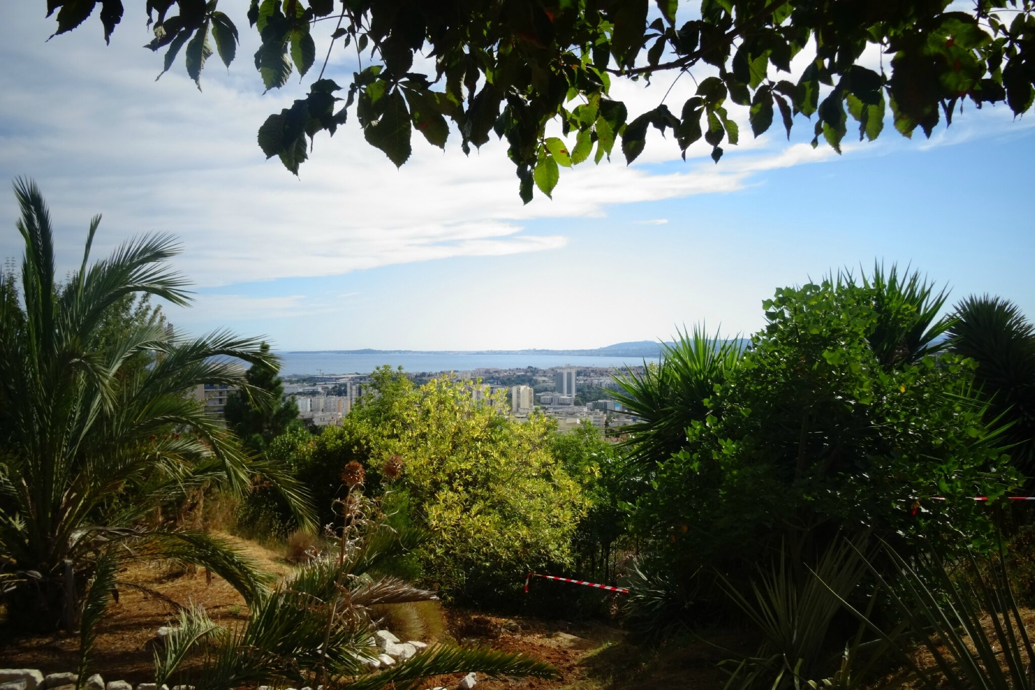 Le Jardin Botanique de Nice - La Renarde des Alpes