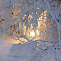 neige&a&&