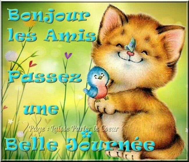 Bonjour Ma Bien Aimee Famille Je Vous Remercie L Univers De Patounette Et Ses Amis Es