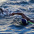 IMG_8254 - Copie