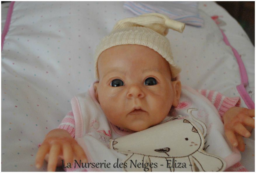 NDN-eliza026