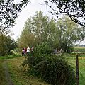 IMGP9870