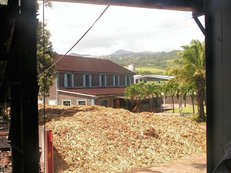2016 03 10 (44) - distillerie Saint-James à Sainte-Marie - le stock de canne à sucre au départ de la chaine de production