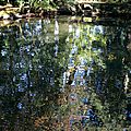 IMG_0629 - Copie