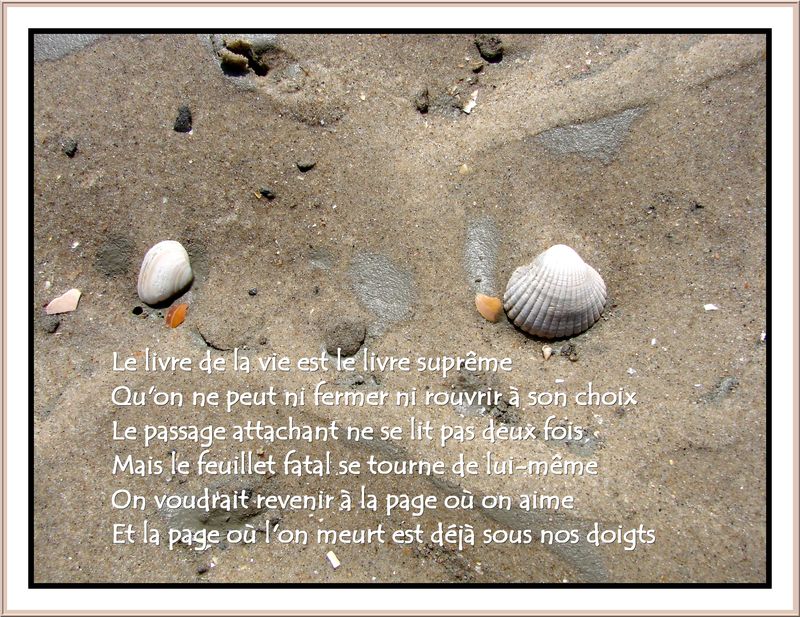 Les Mots Des Nouvelles De Moi