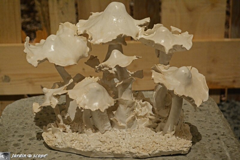 Champignons Life - sculpture de Florence Corbi