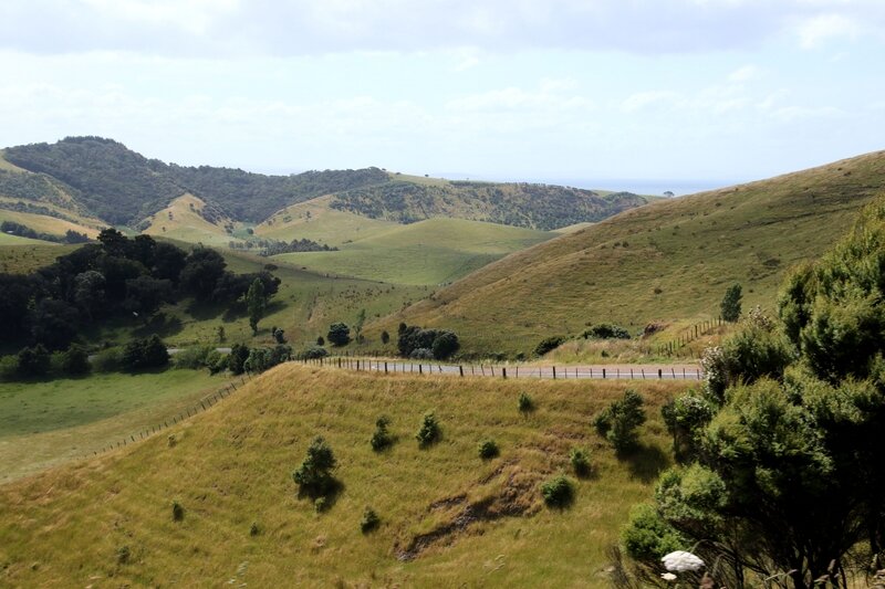 4W7A7270 Waiheke Island