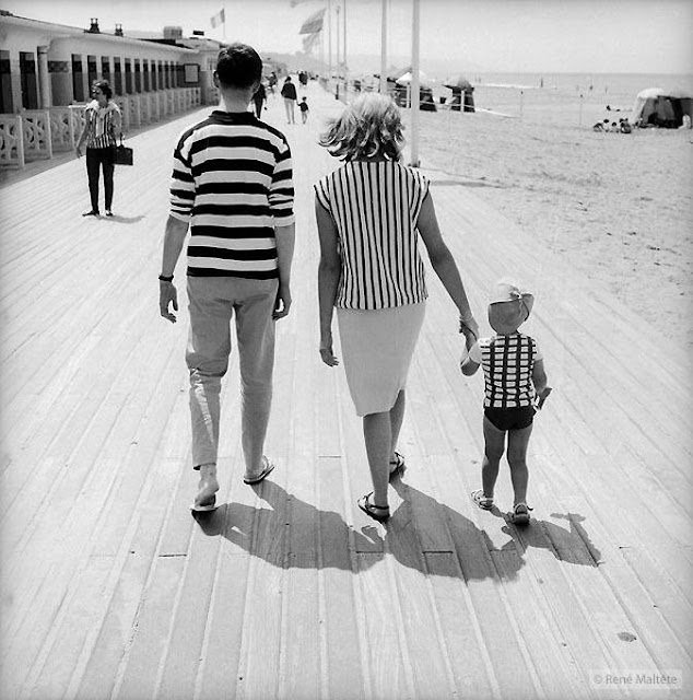 _zebra-family_René Maltête