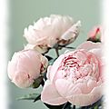 tumblr_lxzfsdOXI11qm7dwoo1_500[1]