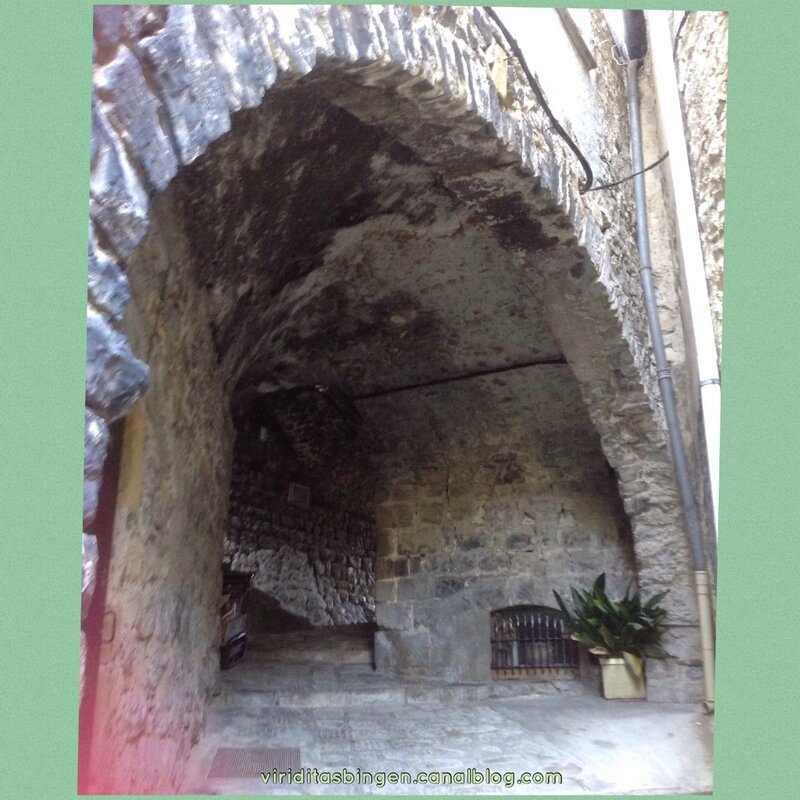 thumbnail_IMG_5977