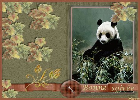 bonne_soiree_Panda